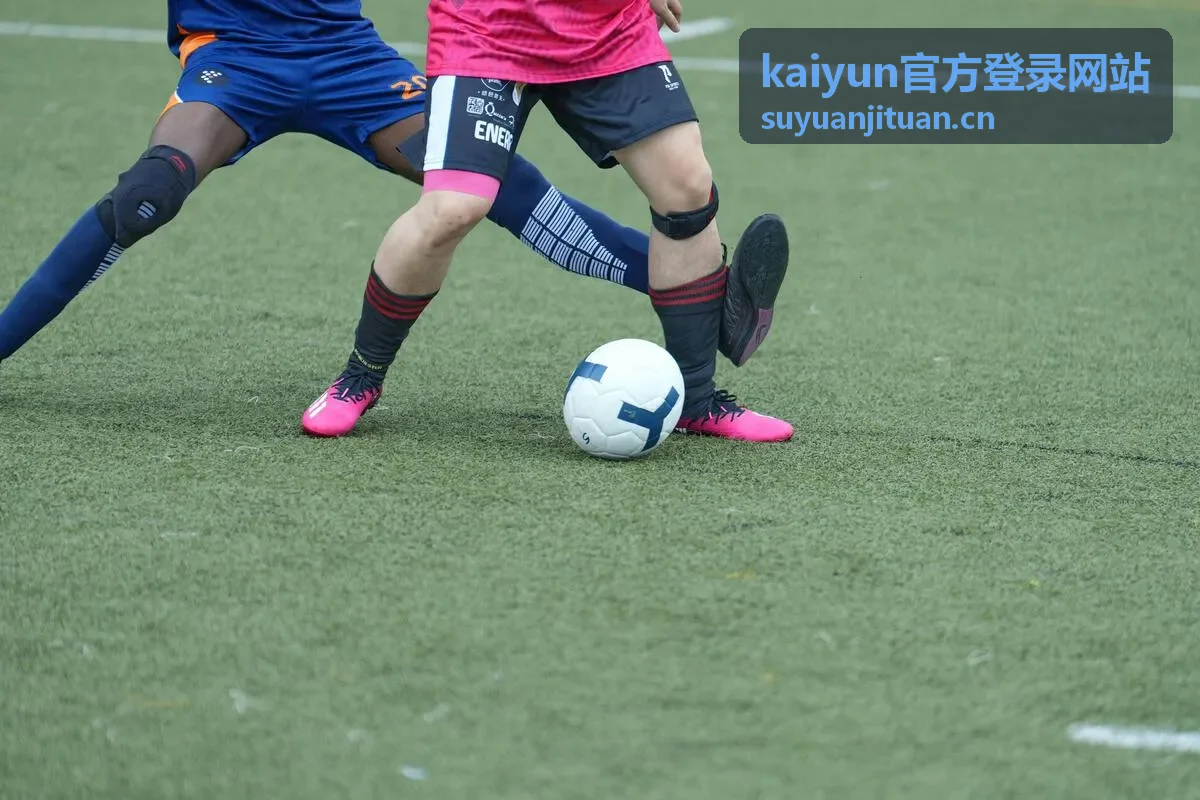 kaiyun官方登录 会员专享精品教程
