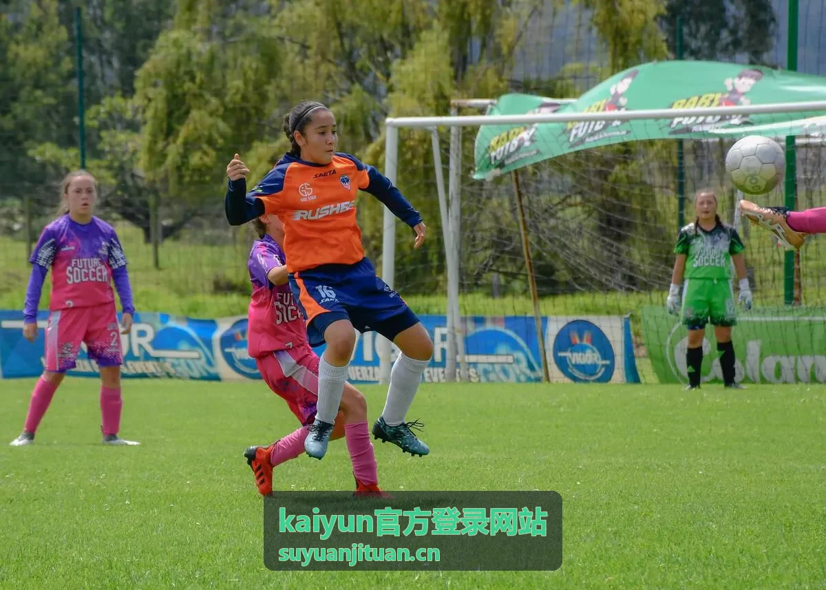 kaiyun官方登录 平台公告