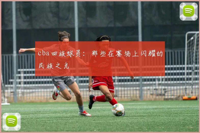 cba回族球员：那些在赛场上闪耀的民族之光