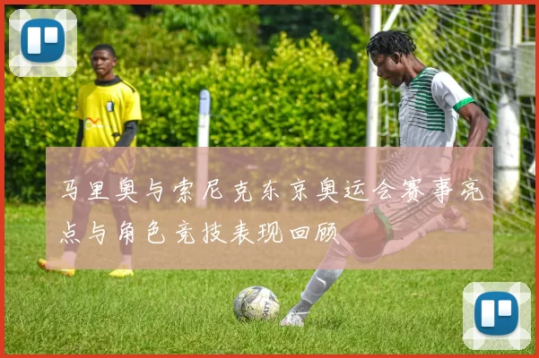 马里奥与索尼克东京奥运会赛事亮点与角色竞技表现回顾