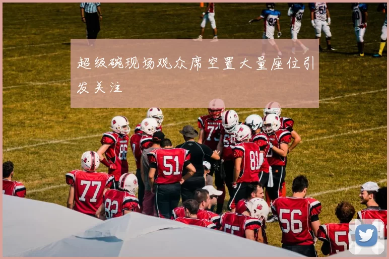 超级碗现场观众席空置大量座位引发关注