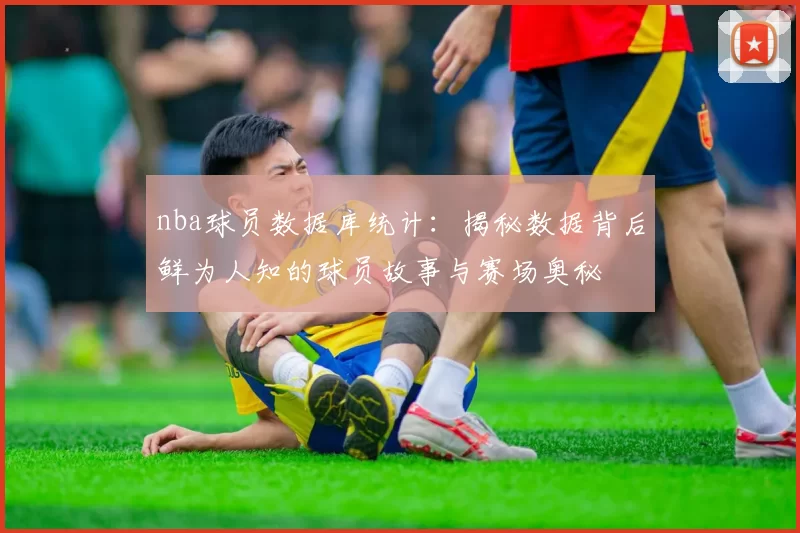 nba球员数据库统计：揭秘数据背后鲜为人知的球员故事与赛场奥秘