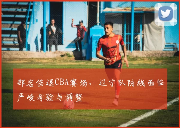 邵岩伤退CBA赛场，辽宁队防线面临严峻考验与调整