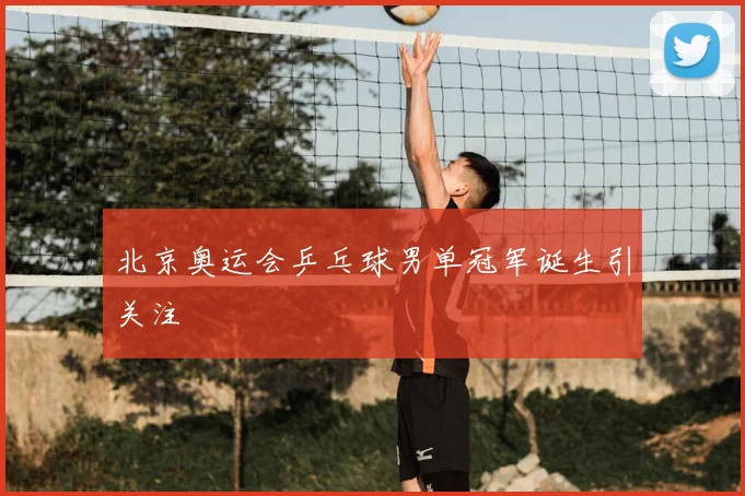 北京奥运会乒乓球男单冠军诞生引关注